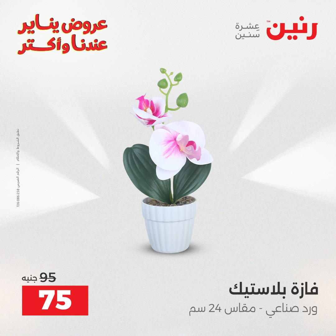 عروض رنين من 6 يناير حتى 7 يناير 2026 صفحة 10 - raneen offers from 6 January to 7 January 2026 page 10